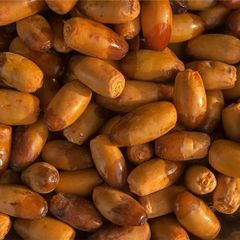 Premium Iranian Mazafati & Shahani Dates | Bulk Export Supply from Iran – product photo 3, product detail gallery